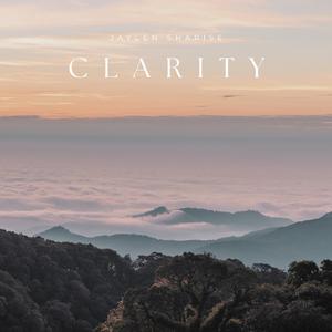 午夜免费观看体验区入口
