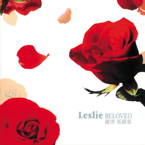 午夜免费观看体验区入口
