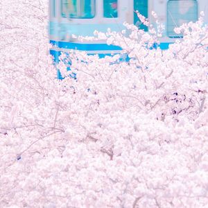 午夜免费观看体验区入口
