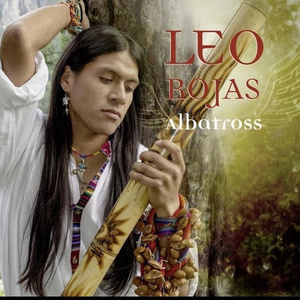 午夜免费观看体验区入口
